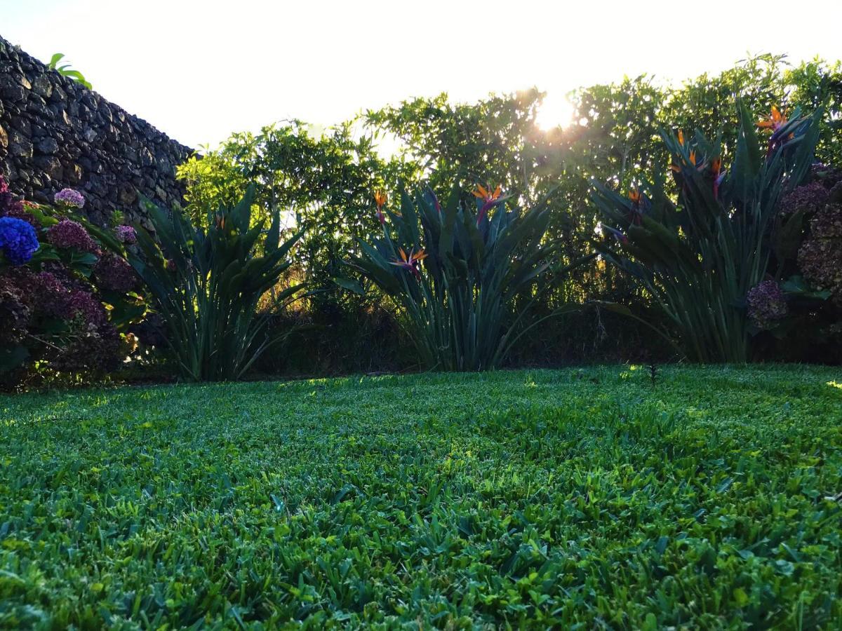Surf Beach_Santa Barbara Secret Gardens Ribeira Grande Ngoại thất bức ảnh